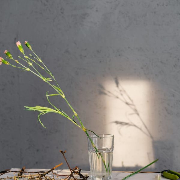 Person meditating peacefully in a minimalist setting with natural light.